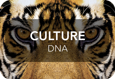文化のDNA