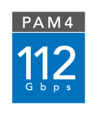 112 Gbps