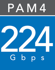 224gbps